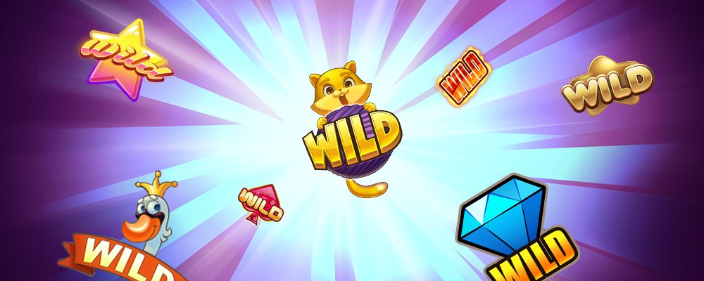 what does wild mean in slot game